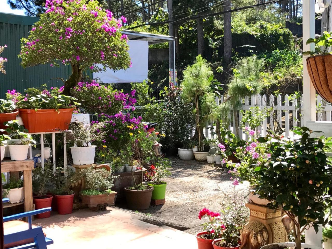 Dalat Coffee House Homestay Exteriér fotografie